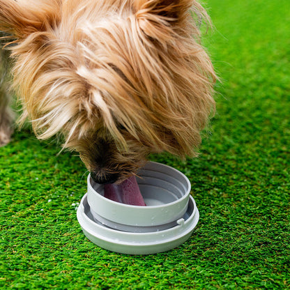 ¡Correa Multifuncional PRO 6 en 1 🐶✨!