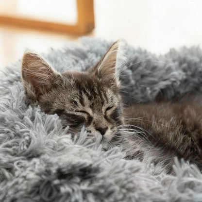 ¡Cama Antiestrés UltraSoft (60 cm) Confort y calma para Mascotas! 😼🐶